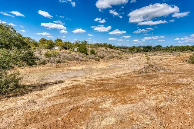a view of a yard with a tree