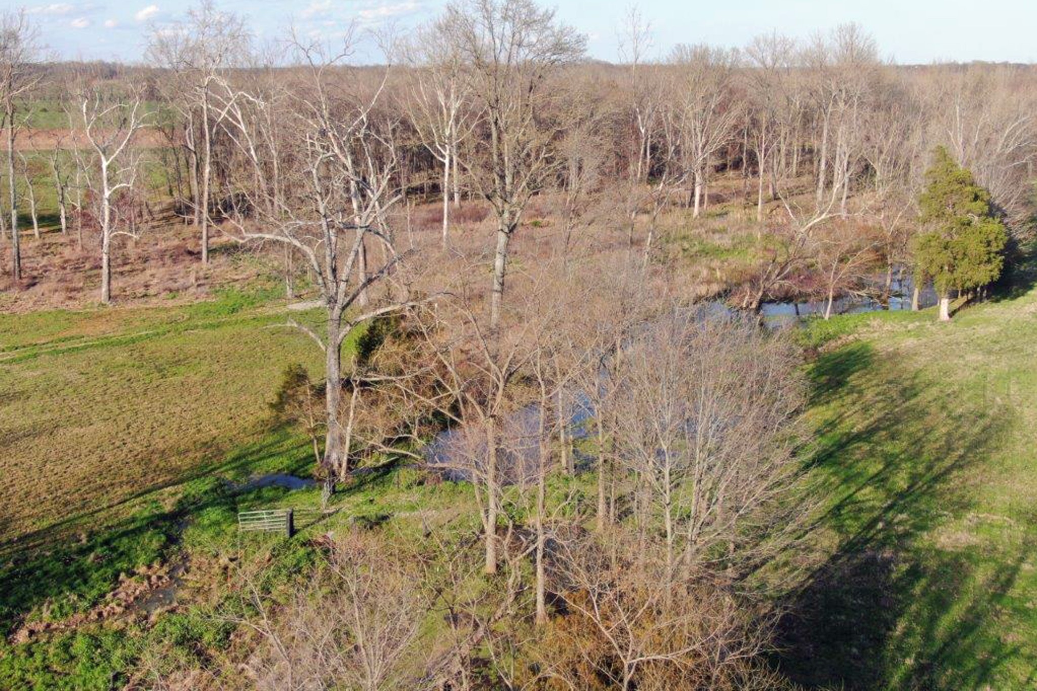 144 Mary Adams Road Franklin, KY 42134 - Photo 31 of 33 a view of lake with mountain