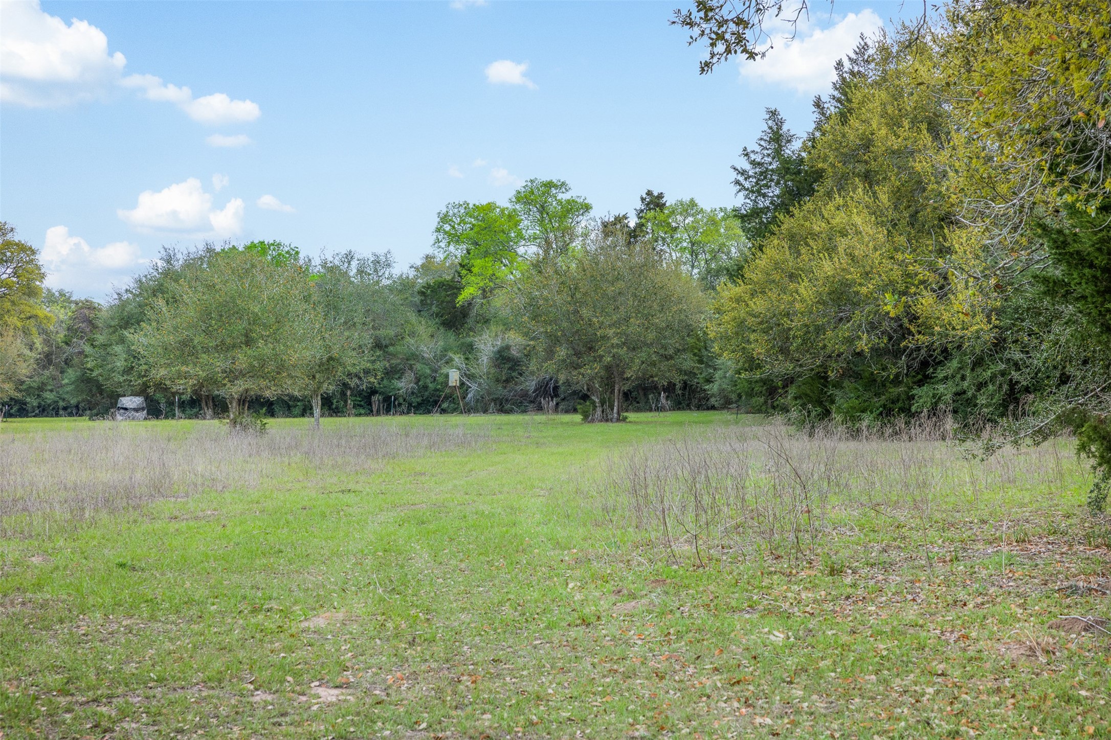 1017 New Ulm Road Cat Spring, TX 78933 - Photo 15 of 25