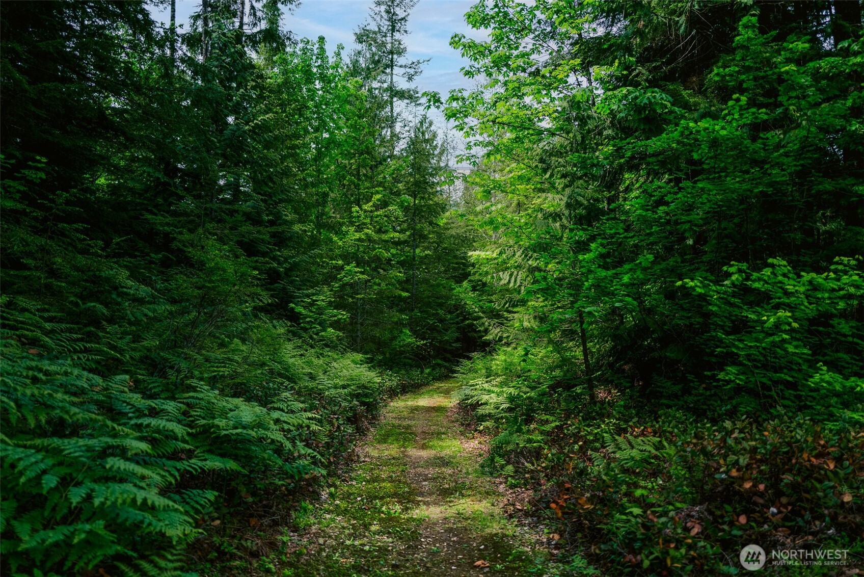 61551 Cascade River Road Marblemount, WA 98267 - Photo 24 of 40