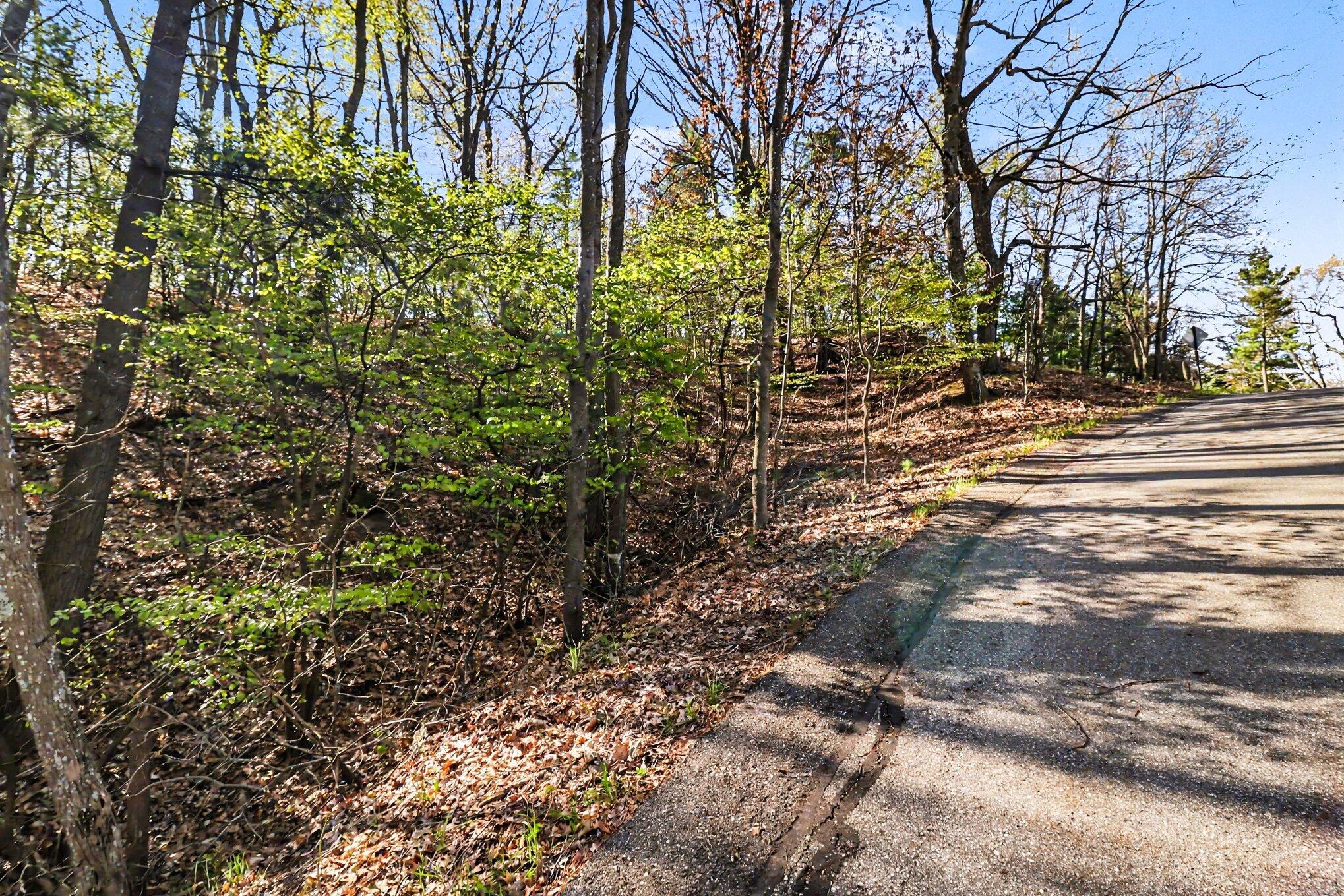 North Silver Ridge Road Mears, MI 49436 - Photo 5 of 14 file_2193