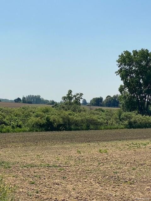 7451 Fostoria Road Mayville, MI 48744 - Photo 19 of 41