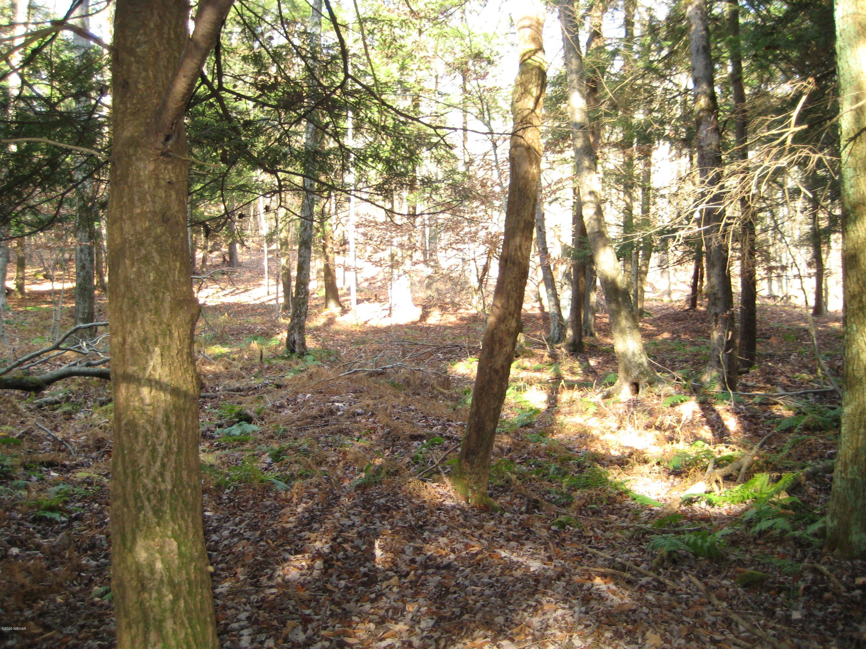 0 Browns Pond Road Dushore, PA 18614 - Photo 14 of 14 Gallery Image 14