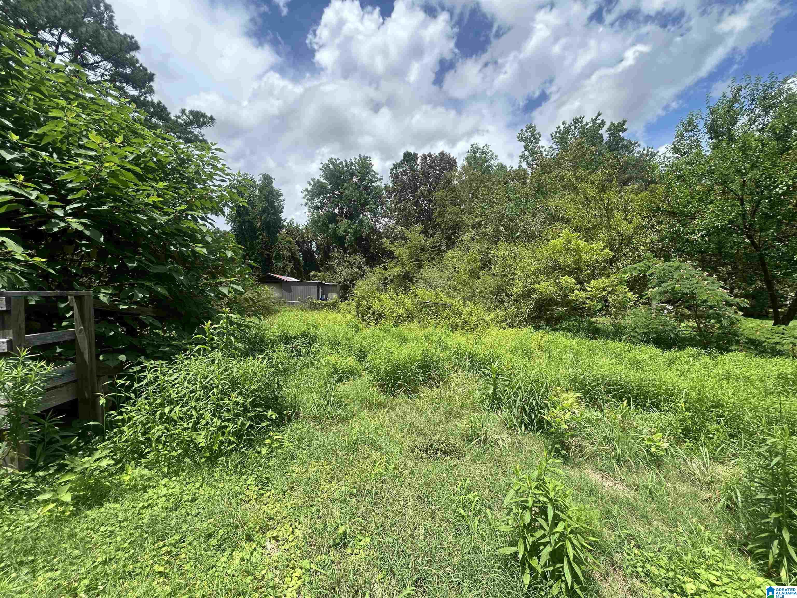 578 Empire Road Sumiton, AL 35148 - Photo 26 of 49