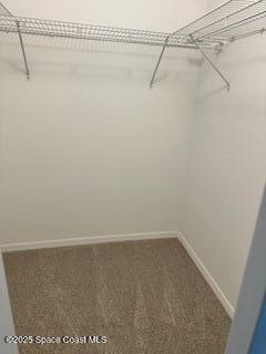 1720 Murrell Road, Unit 201 Rockledge, FL 32955 - Photo 11 of 14 Walkin Closet
