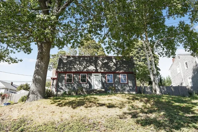a view of a yard with a tree