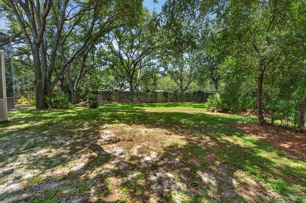 15707 Cochester Road Tampa, FL 33647 - Photo 29 of 95