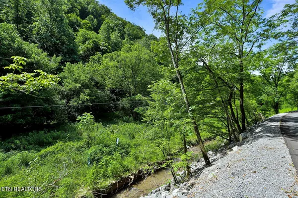 $130,000 | 0 Caney Creek Road, Pigeon Forge, TN 37863