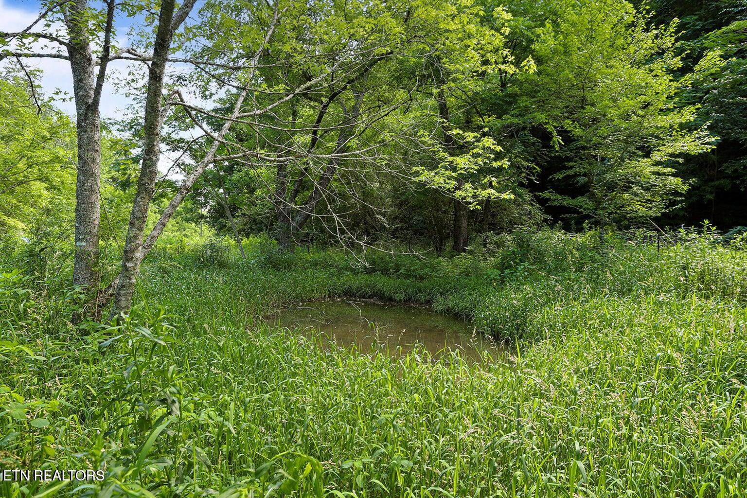 0 Caney Creek Road Pigeon Forge, TN 37863 - Photo 5 of 12 20251113223609395250000000-o