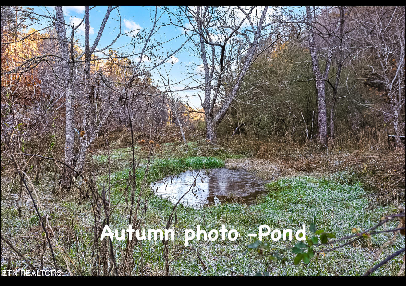 0 Caney Creek Road Pigeon Forge, TN 37863 - Photo 6 of 12 IMG_3367
