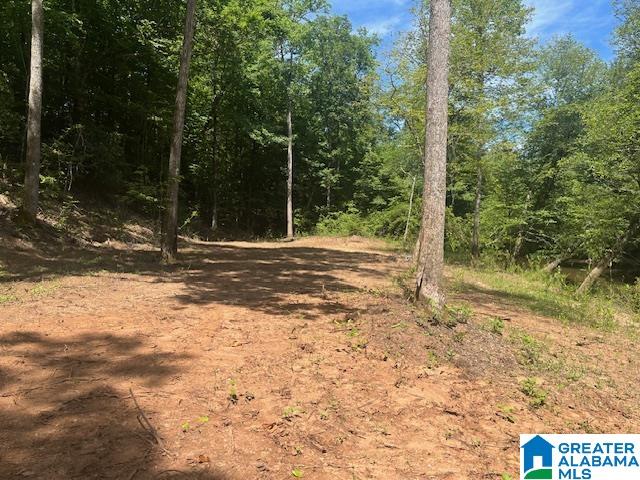 Pate Road Lineville, AL 36266 - Photo 3 of 5
