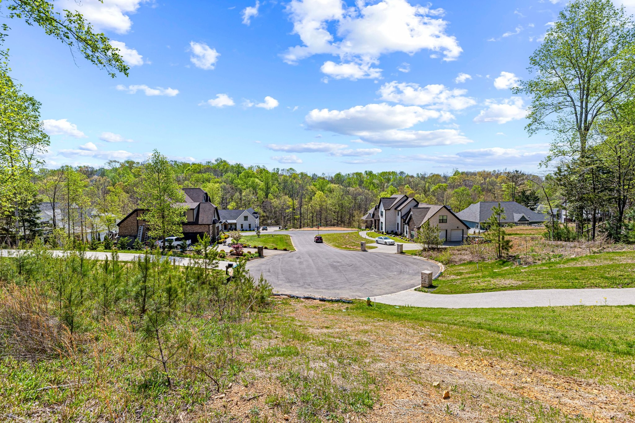 7504 Hunter York Court Fairview, TN 37062 - Photo 3 of 8