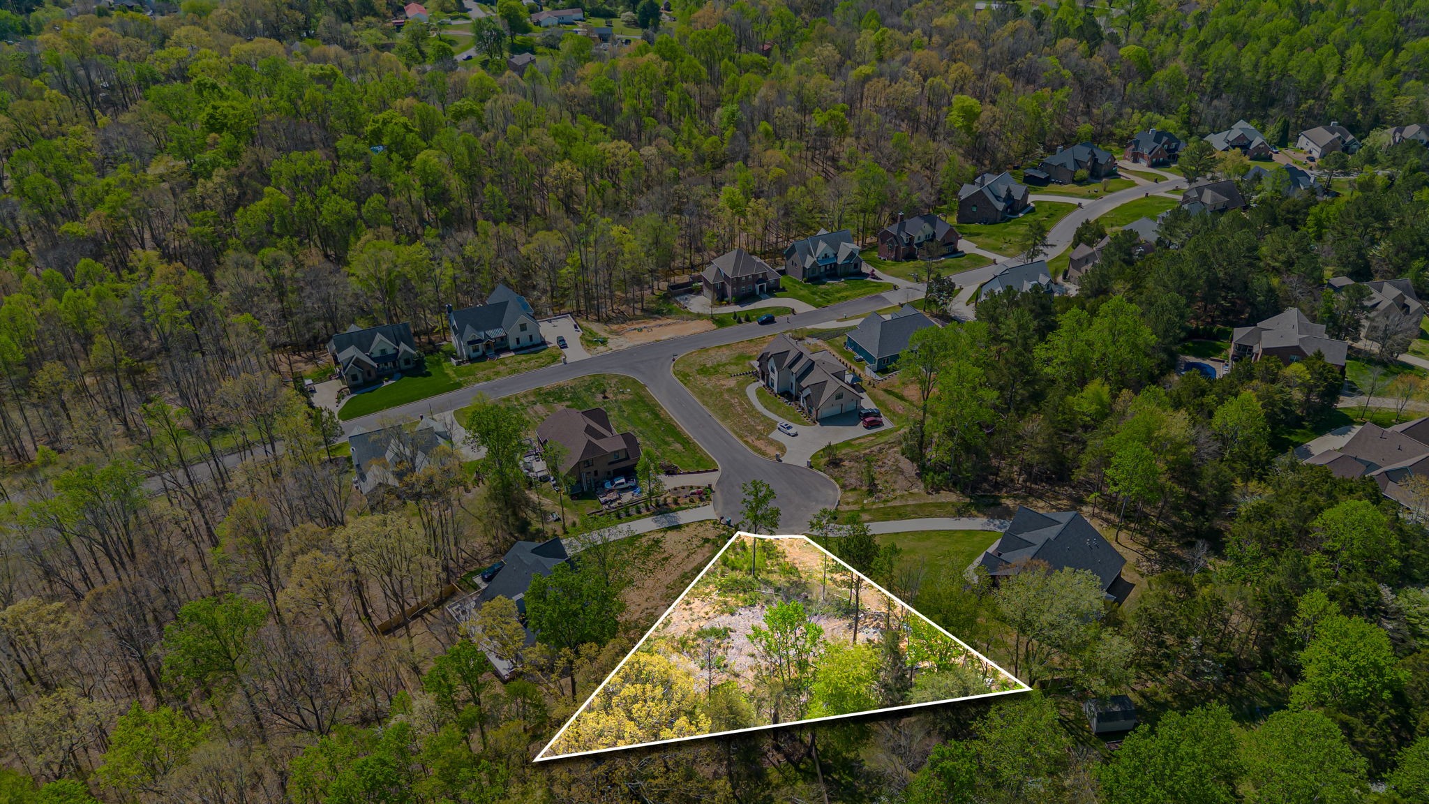 7504 Hunter York Court Fairview, TN 37062 - Photo 4 of 8