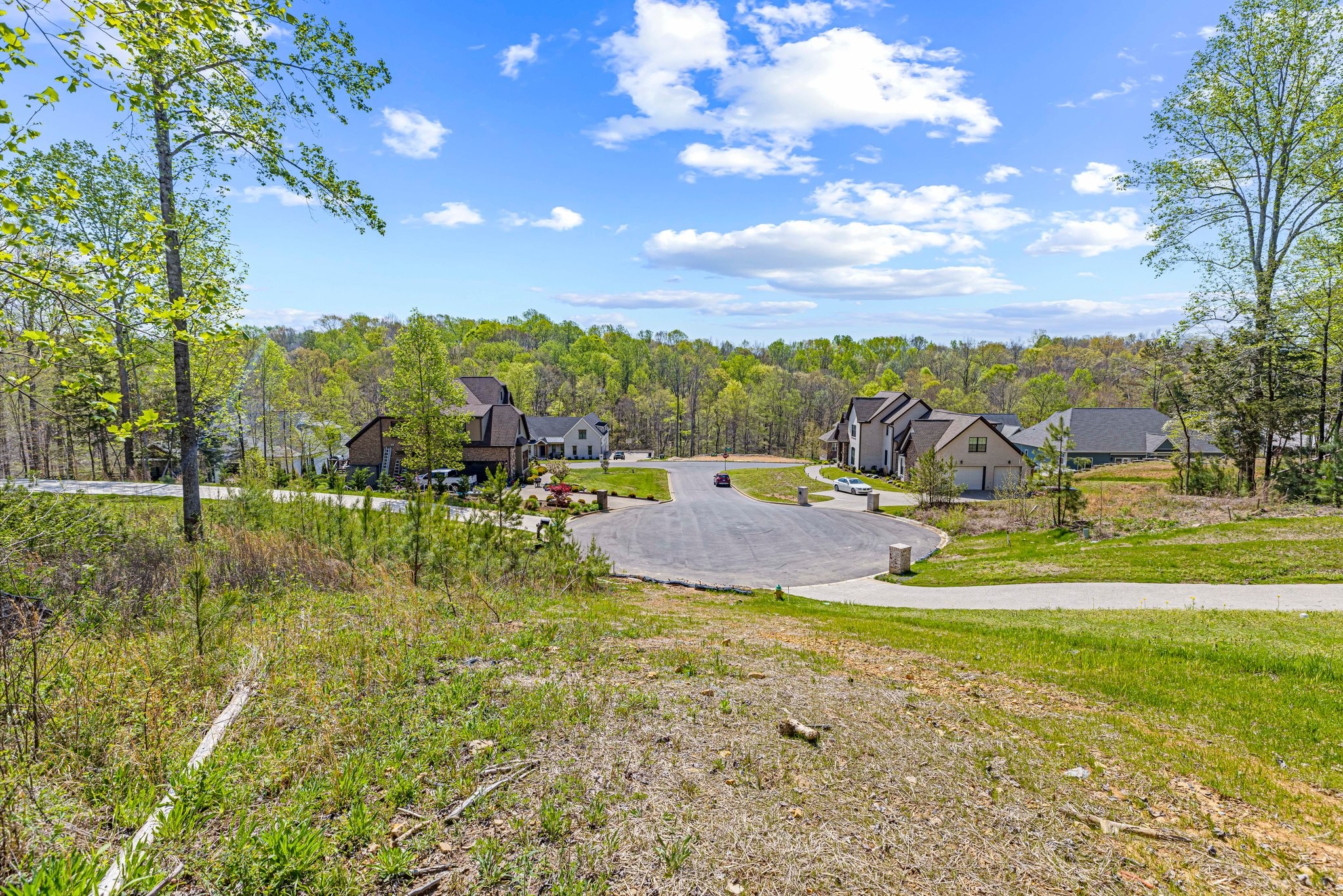 7504 Hunter York Court Fairview, TN 37062 - Photo 6 of 8