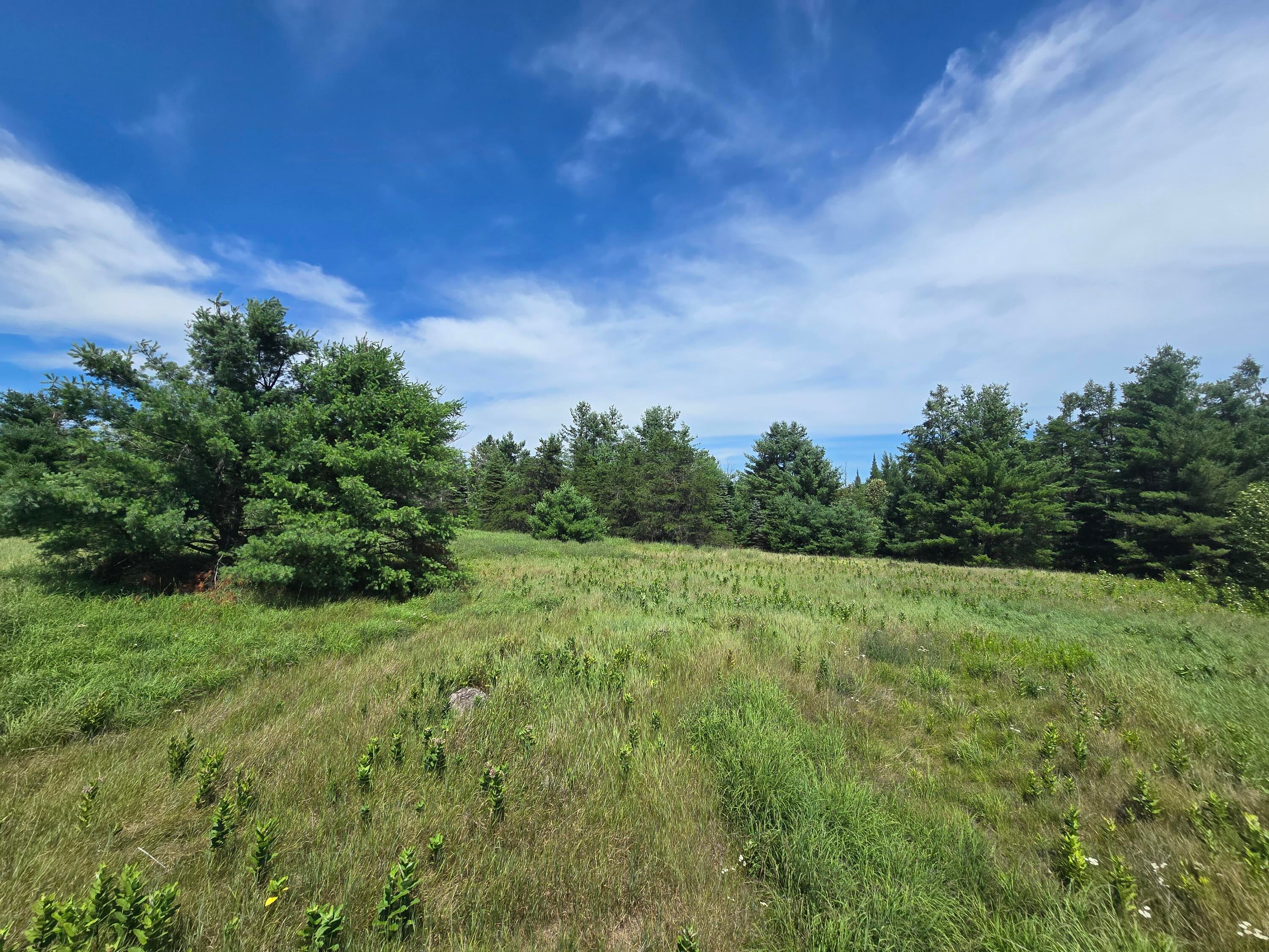8716 Mc Collum Lake Road Curran, MI 48728 - Photo 80 of 113 20250723_131728
