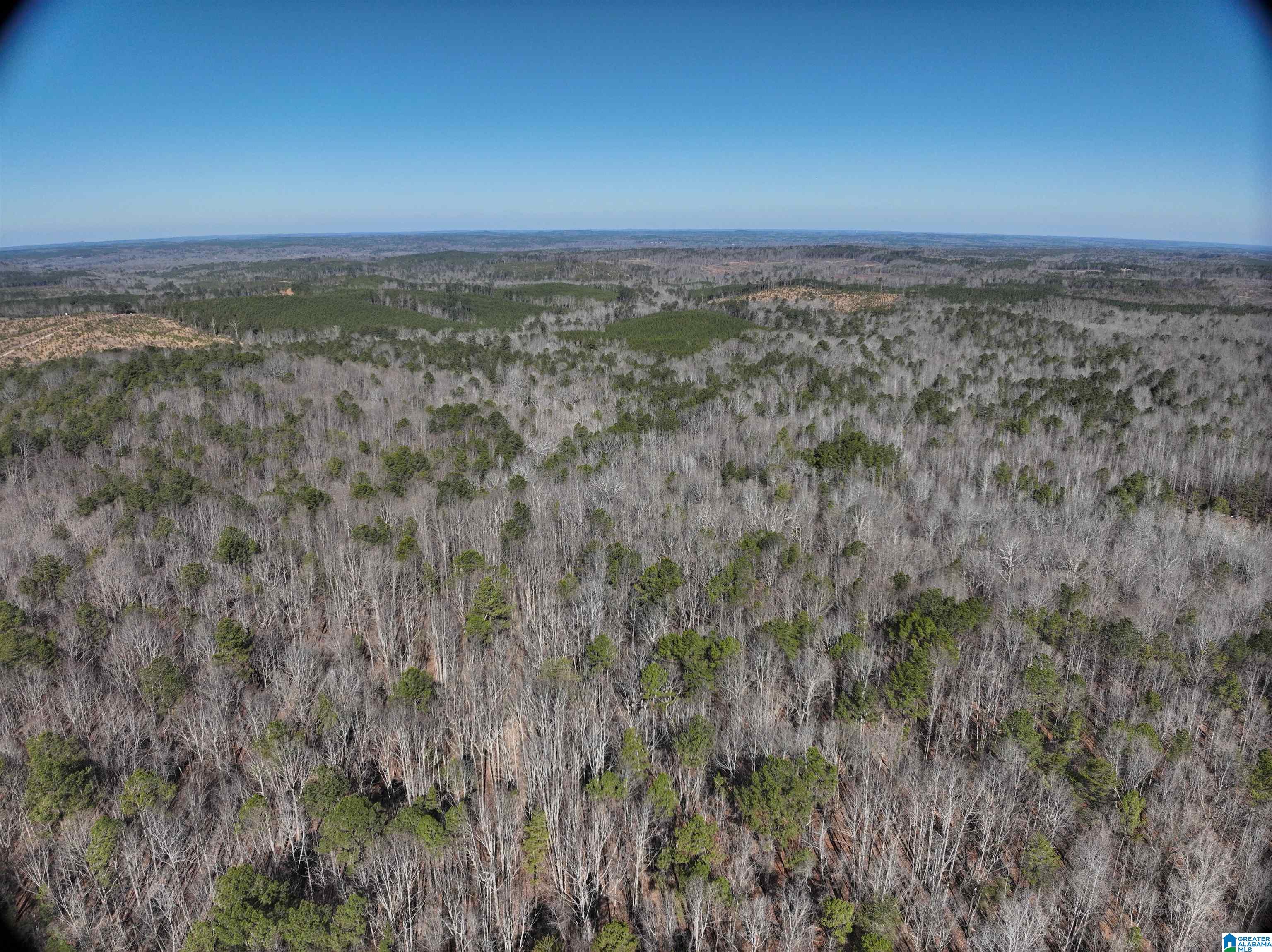 6171 Highway 102, Unit 1 Fayette, AL 35555 - Photo 20 of 68