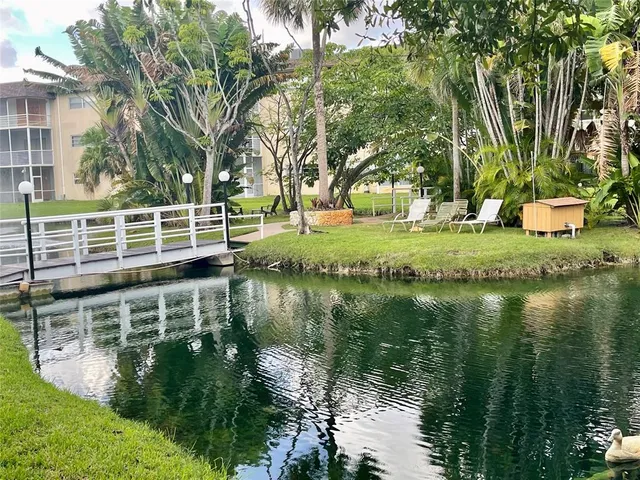 a view of a large trees