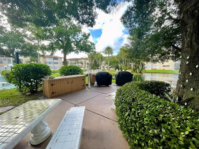 a view of a garden with plants and a large tree