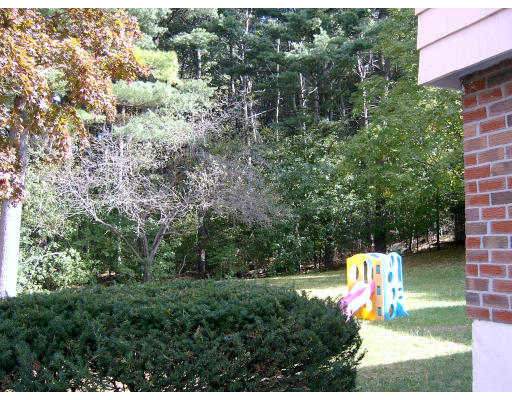 29 Rosemary Road Dedham, MA 02026 - Photo 4 of 7 Gallery Image 4