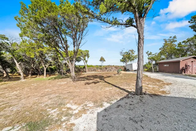 a view of a yard with plants and trees