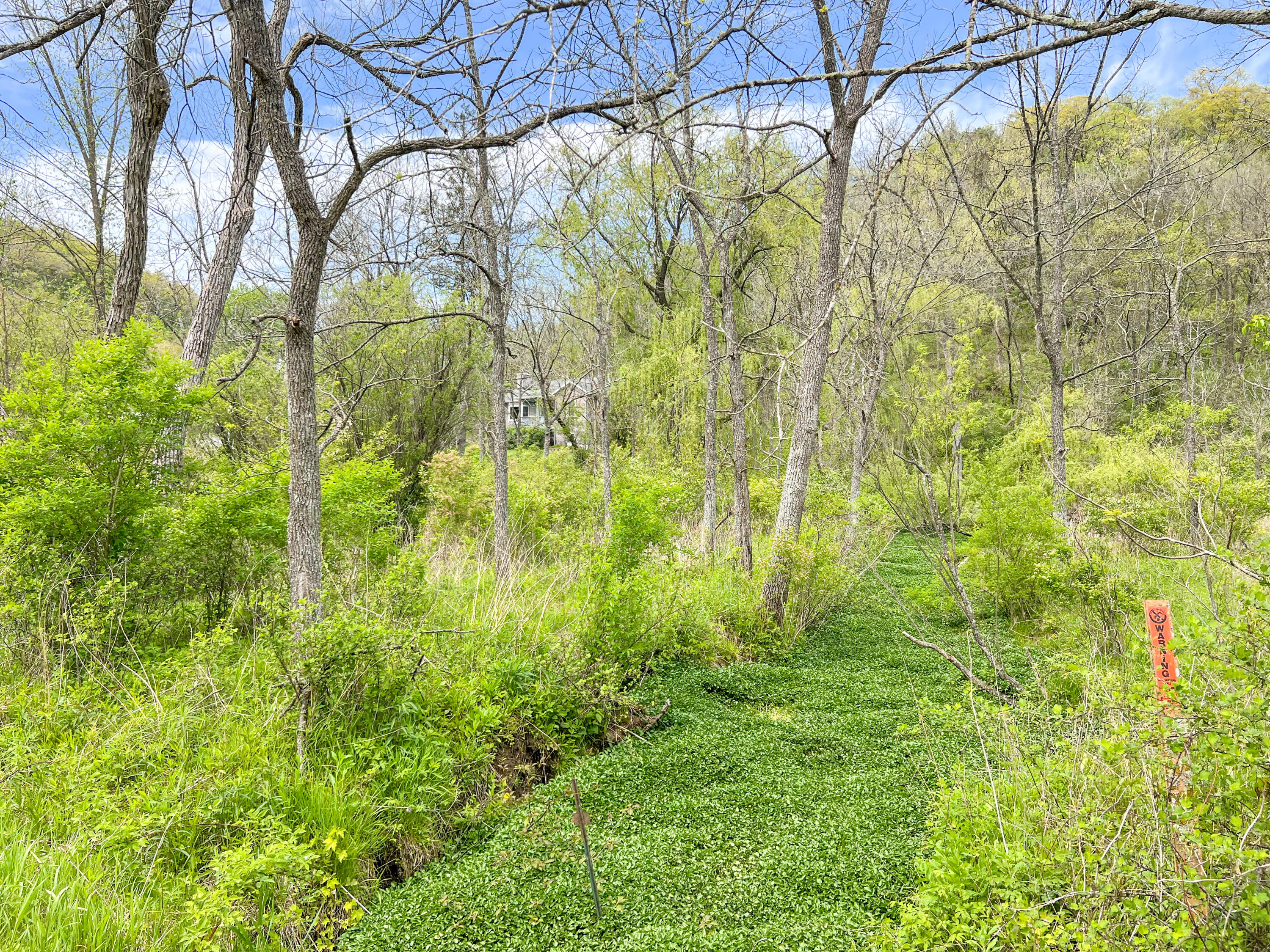 55276 3 Creeks Road Freeman, WI 54628 - Photo 42 of 57 Spring on property