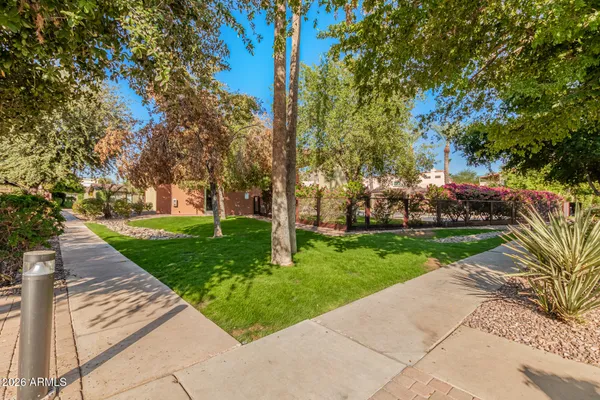 a view of a park with large trees