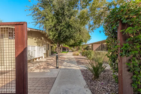 a street view of a house with a tree
