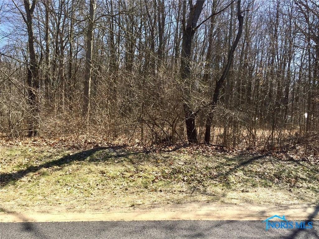 12257 Harriet Road Swanton, OH 43558 - Photo 1 of 2 Photo 1