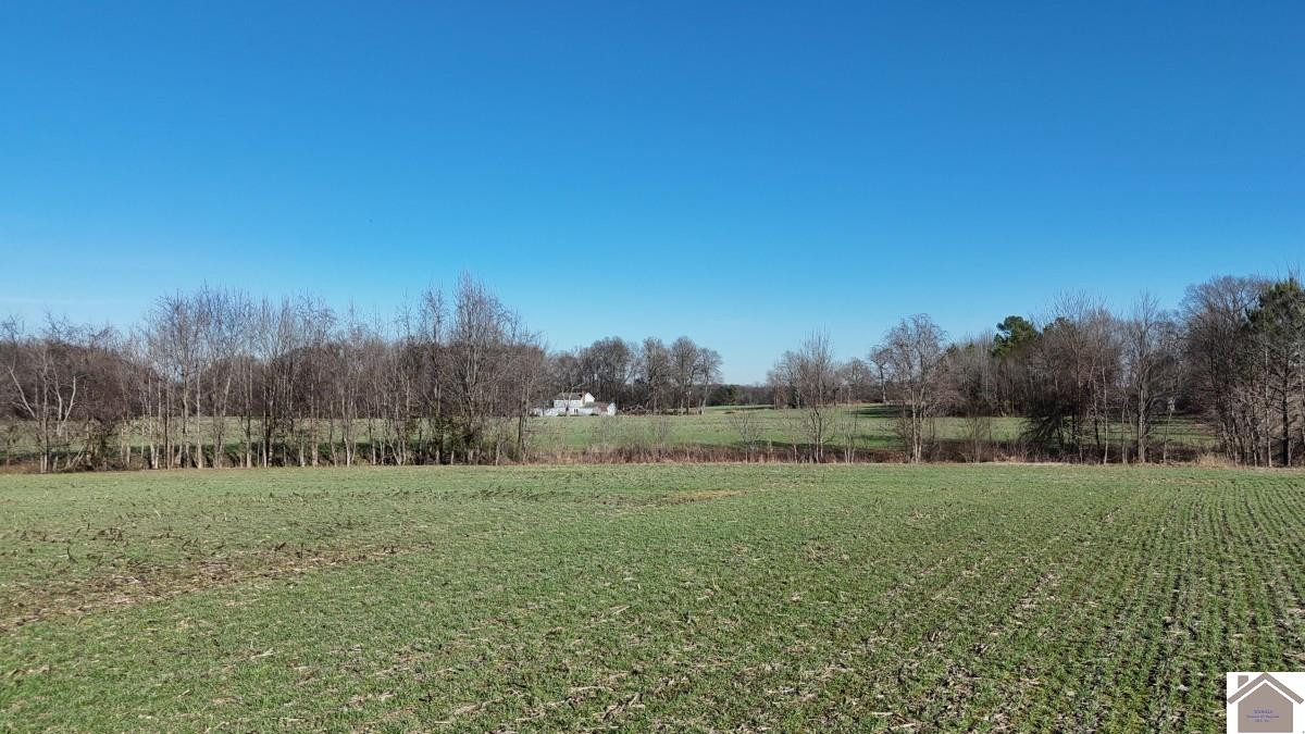 0 Erwin Road Murray, KY 42071 - Photo 18 of 24 Photo 18