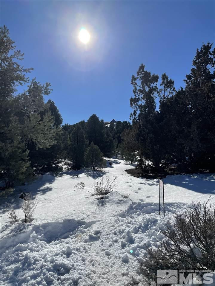 21575 Dortort Drive Reno, NV 89521 - Photo 5 of 5 a street view covered with snow