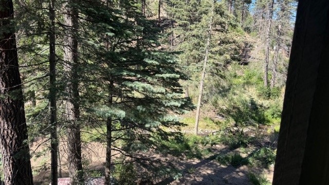 9 Pond Road Sapello, NM 87745 - Photo 42 of 46
