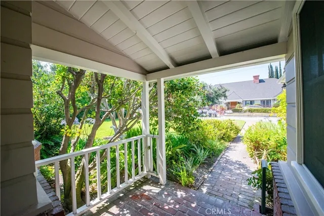 a view of a lot of flower in a window