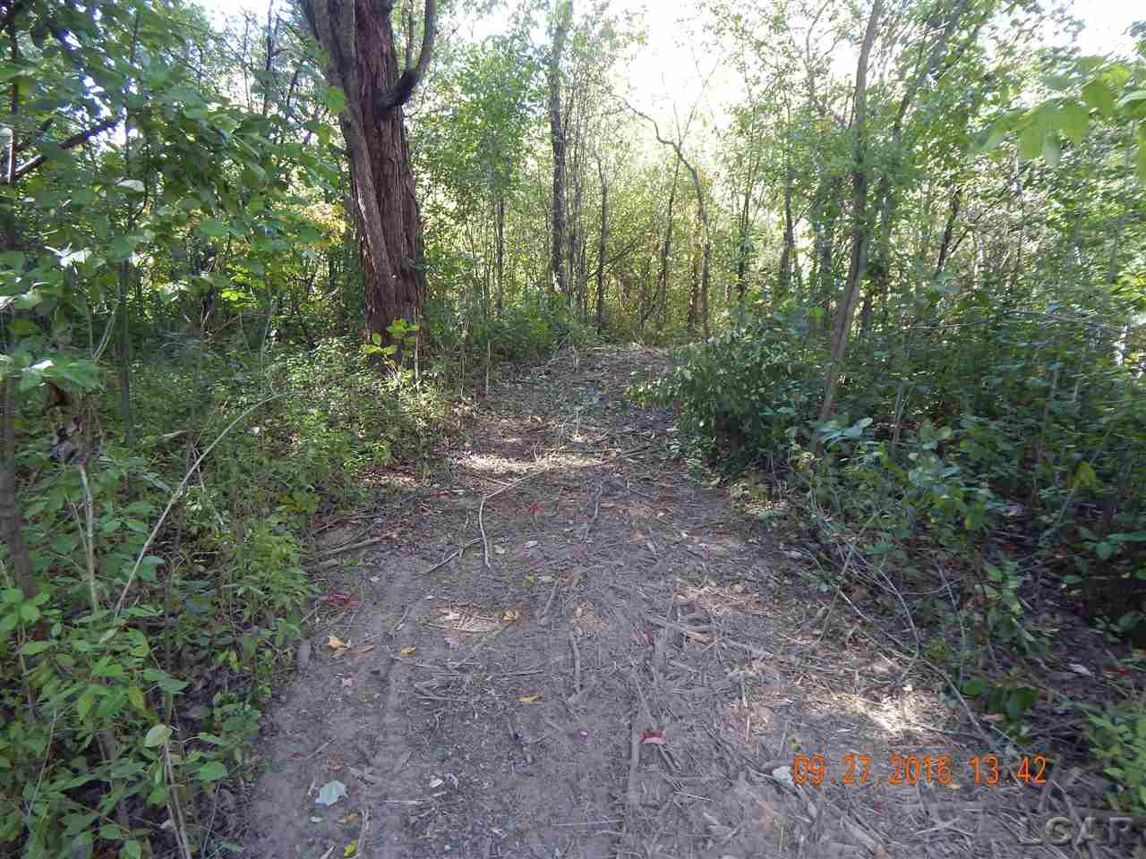 Vac East Vac E Blue Ridge Road Clarklake, MI 49234 - Photo 26 of 32 31328508-25.JPG