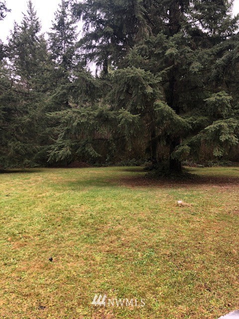 139 East Avery Road, Unit 26 Chehalis, WA 98532 - Photo 3 of 25