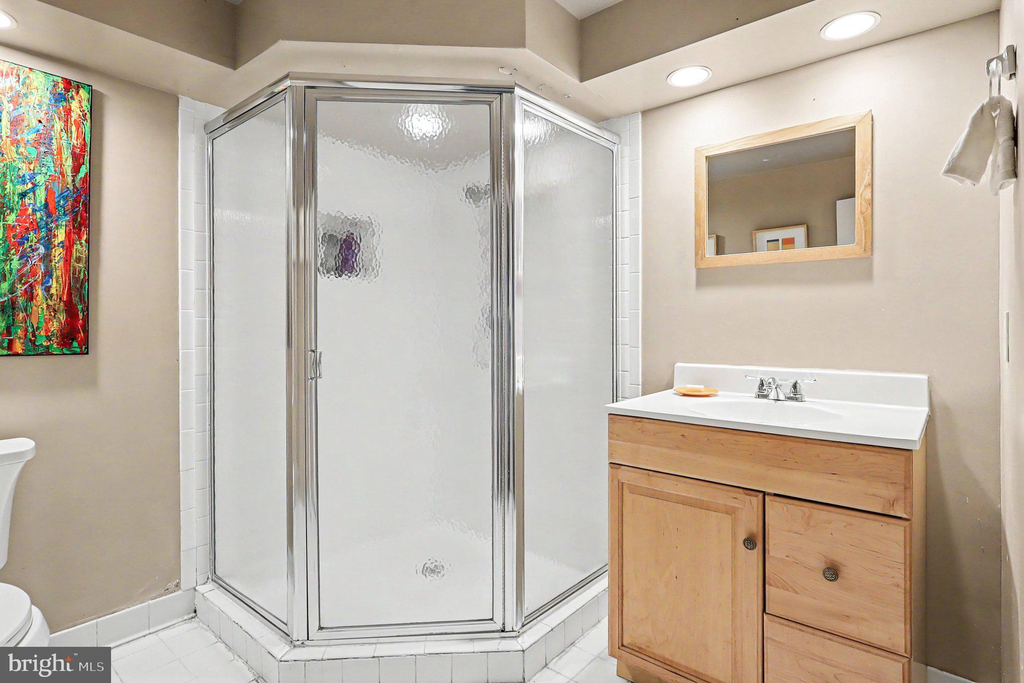 7907 Slidell Lane Springfield, VA 22151 - Photo 20 of 22 Lower level full bath