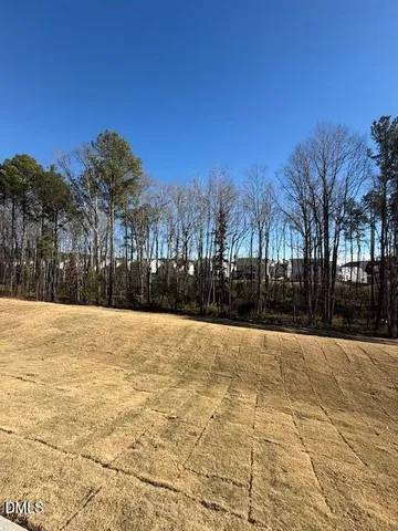a view of swimming pool and trees in the background