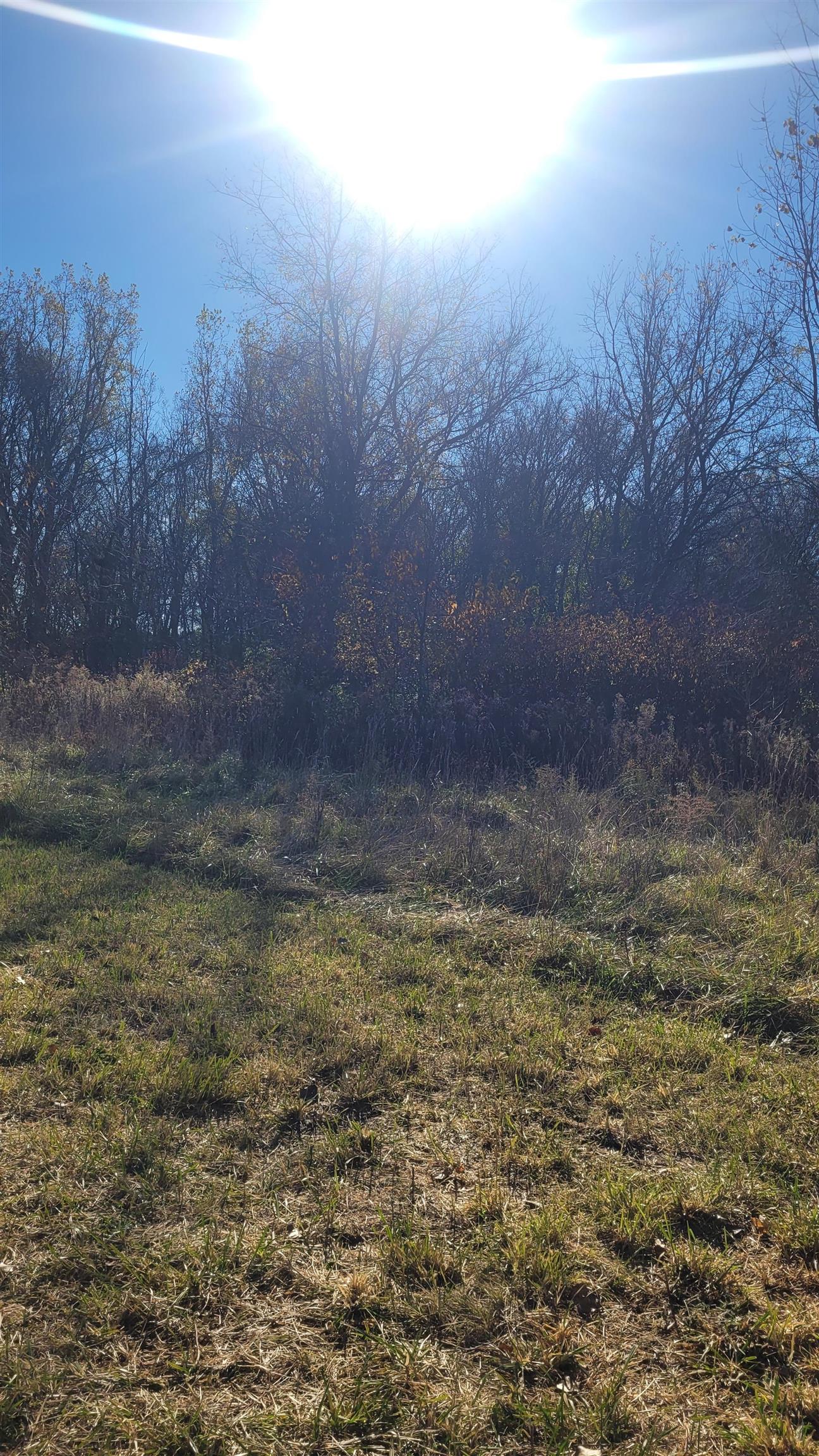 9680 Newburg Road Durand, MI 48429 - Photo 10 of 11 Gallery Image 10