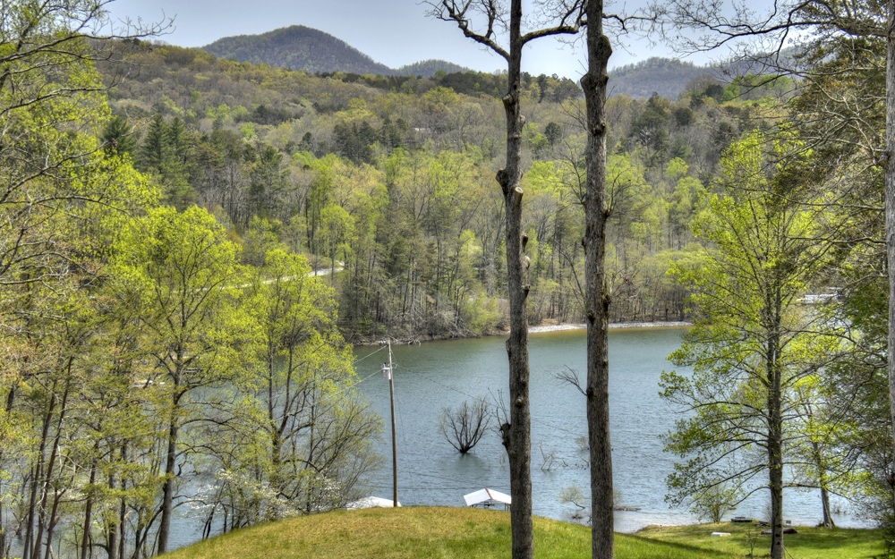 132 Collins Hollow Road Morganton, GA 30560 - Photo 2 of 4 Additional View