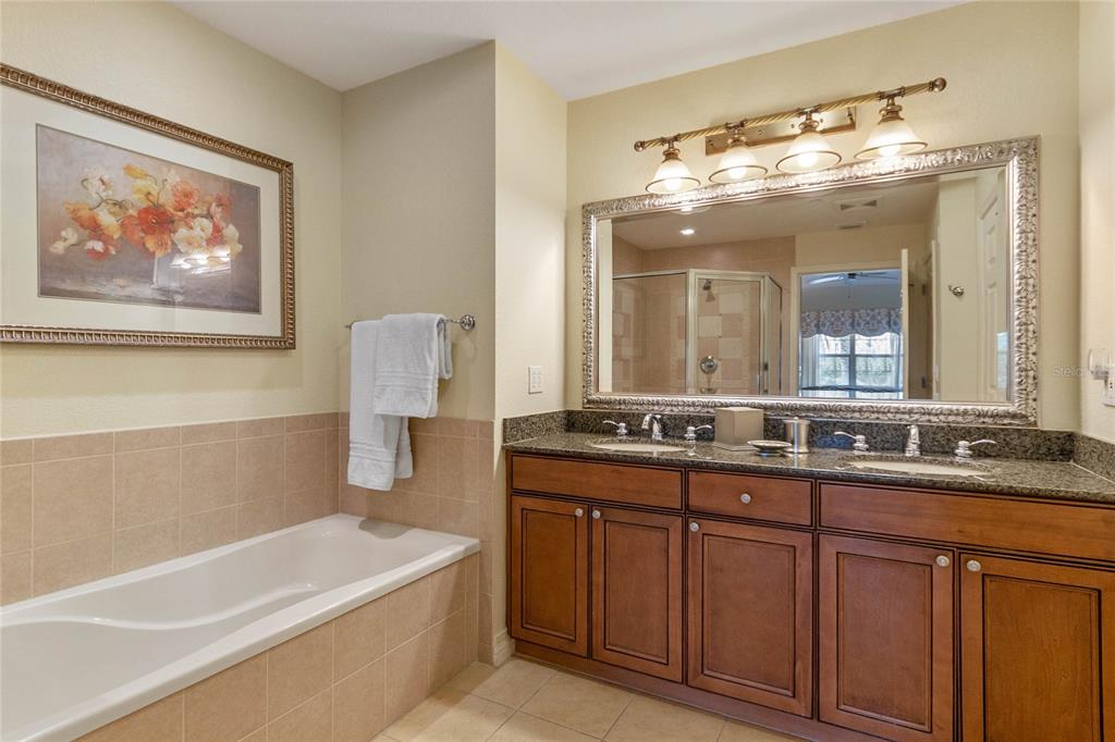 1106 Sunset View Circle, Unit 201 Reunion, FL 34747 - Photo 8 of 31 a bathroom with a granite countertop sink a large mirror a bathtub and shower