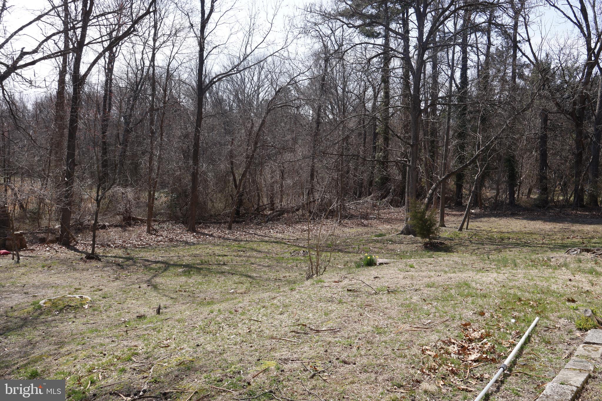 53 Kirkwood Road Gibbsboro, NJ 08026 - Photo 6 of 37 Back yard backing up to the woods and farmland