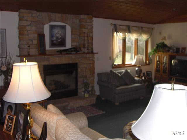 4225 East Dunbar Road Monroe, MI 48161 - Photo 10 of 19 FIREPLACE FORMAL LR
