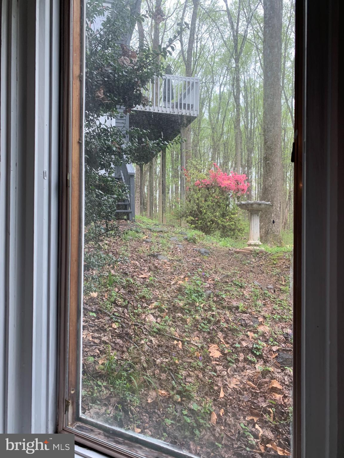 14915 River Road Potomac, MD 20854 - Photo 2 of 22 View from the kitchen