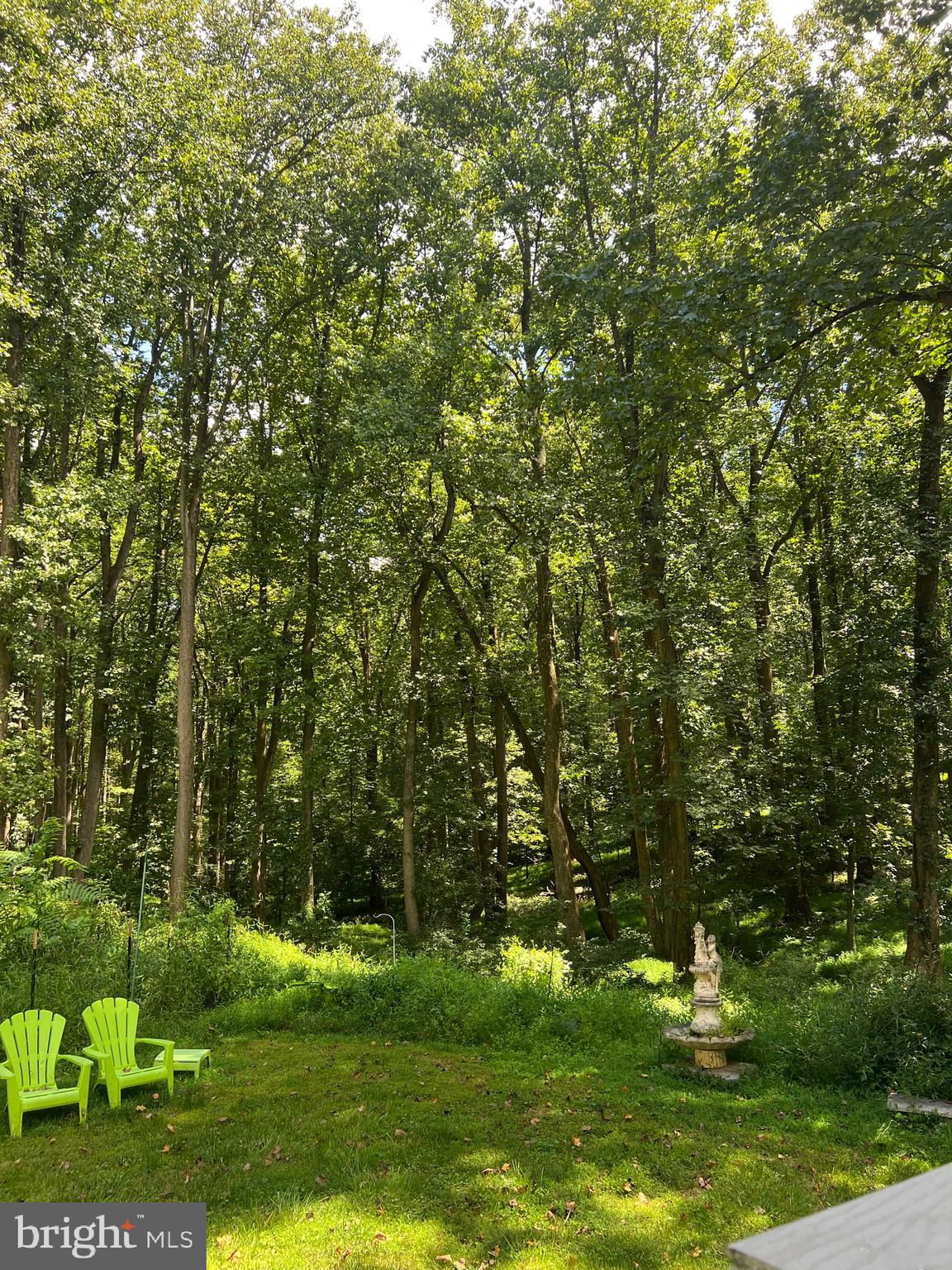 14915 River Road Potomac, MD 20854 - Photo 22 of 22