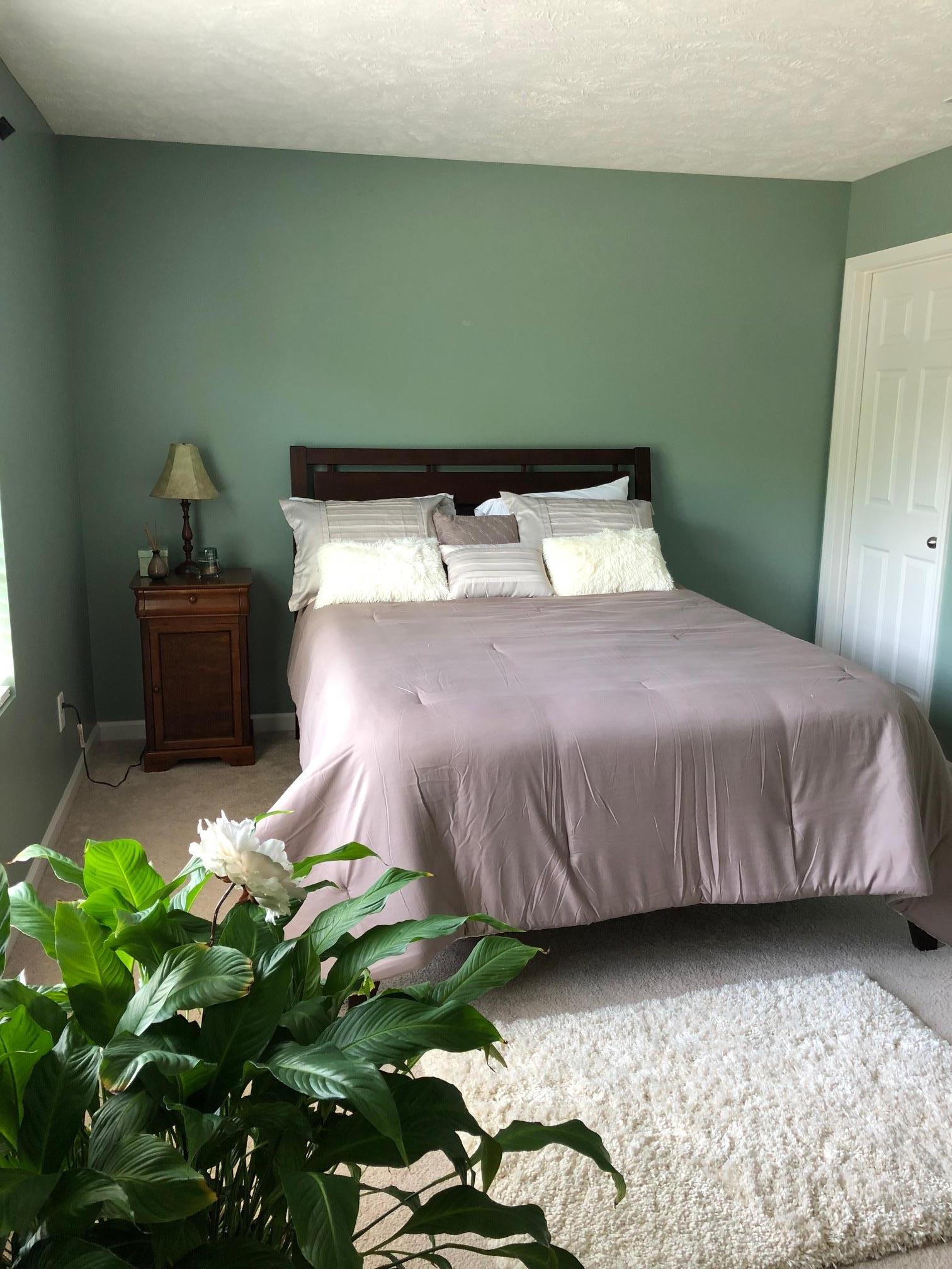 6033 Cane Springs Road Antioch, TN 37013 - Photo 20 of 28 a bedroom with a bed and a potted plant