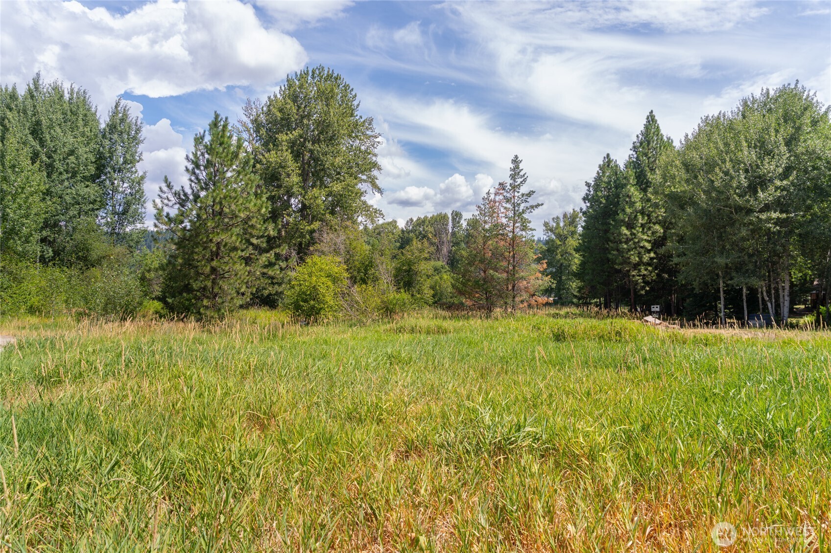 a view of outdoor space and yard