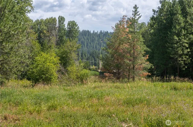 a view of a lush green space and trees