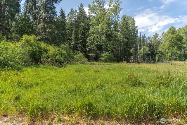 a view of grassy field with trees