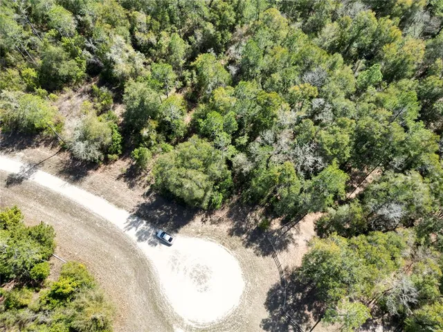 a view of a lot of trees and bushes