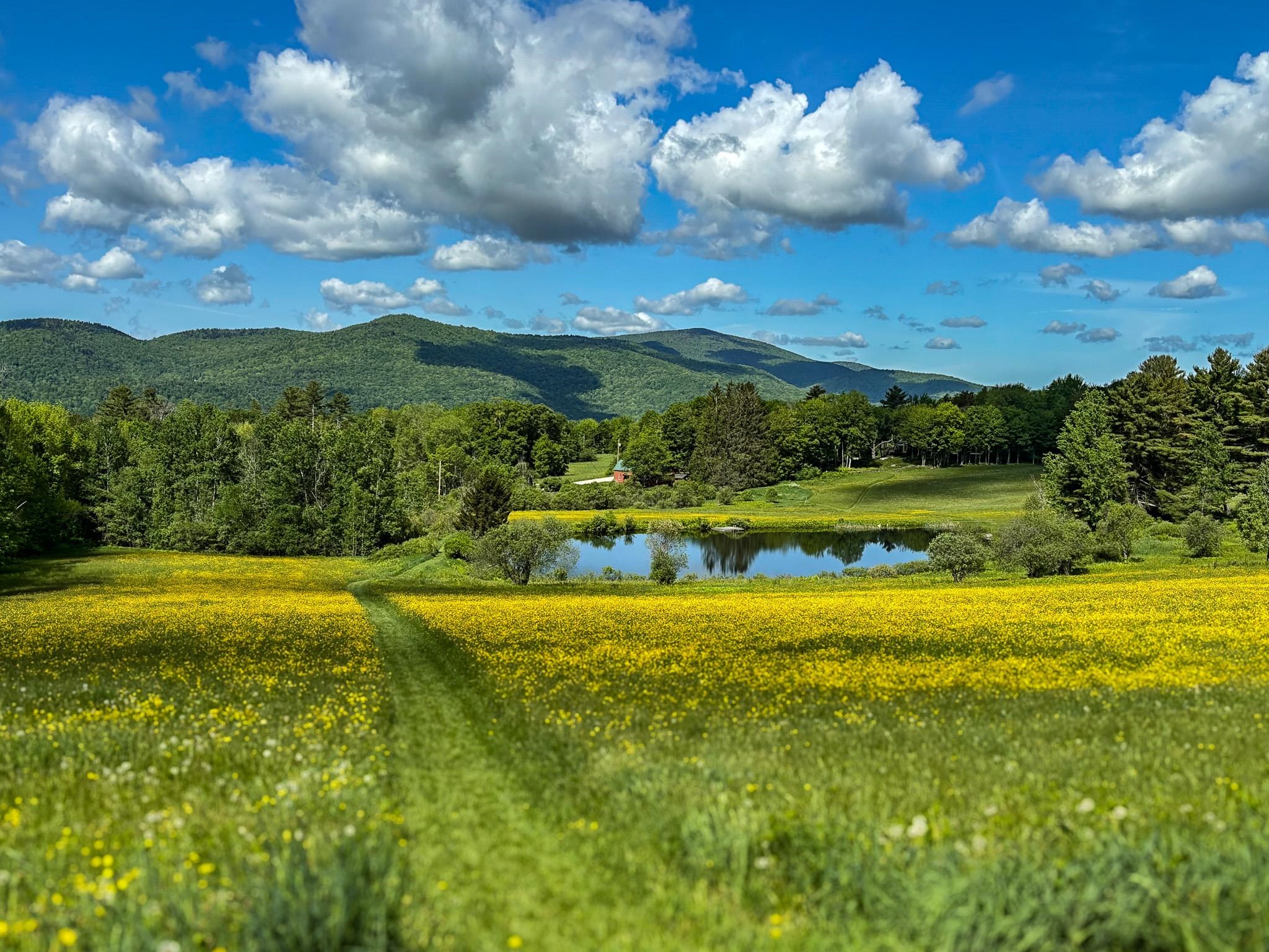 454 Edwins Pond Road Rochester, VT 05767 - Photo 45 of 45
