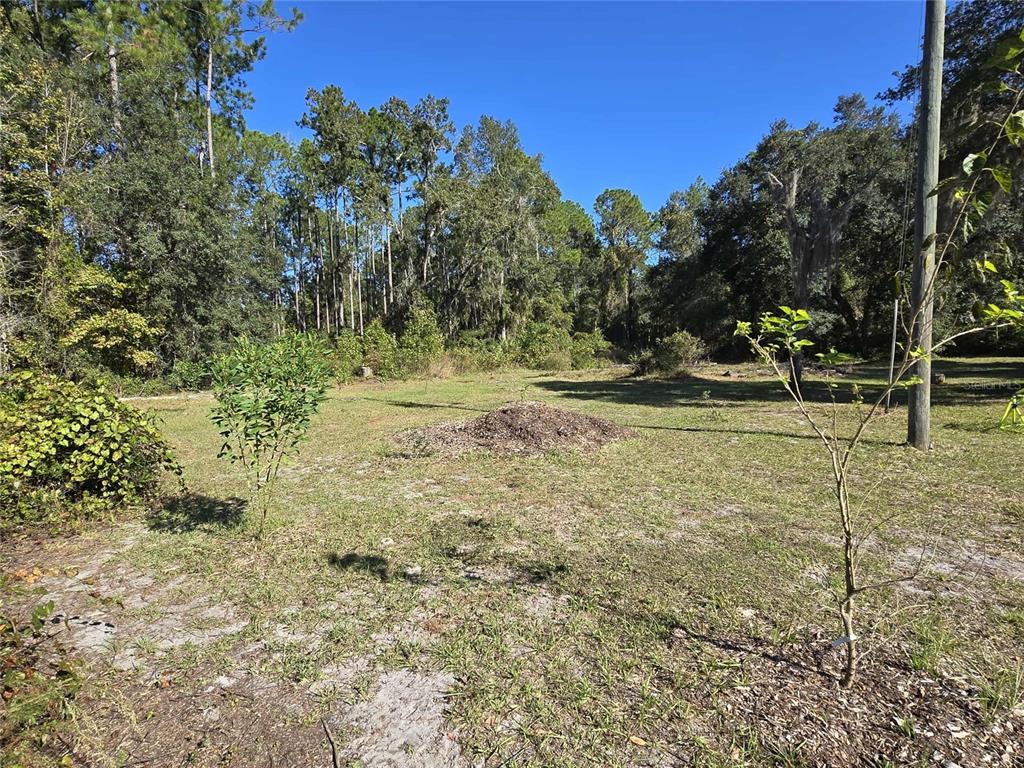 112 Click Road Satsuma, FL 32189 - Photo 32 of 36 Gallery Image 32